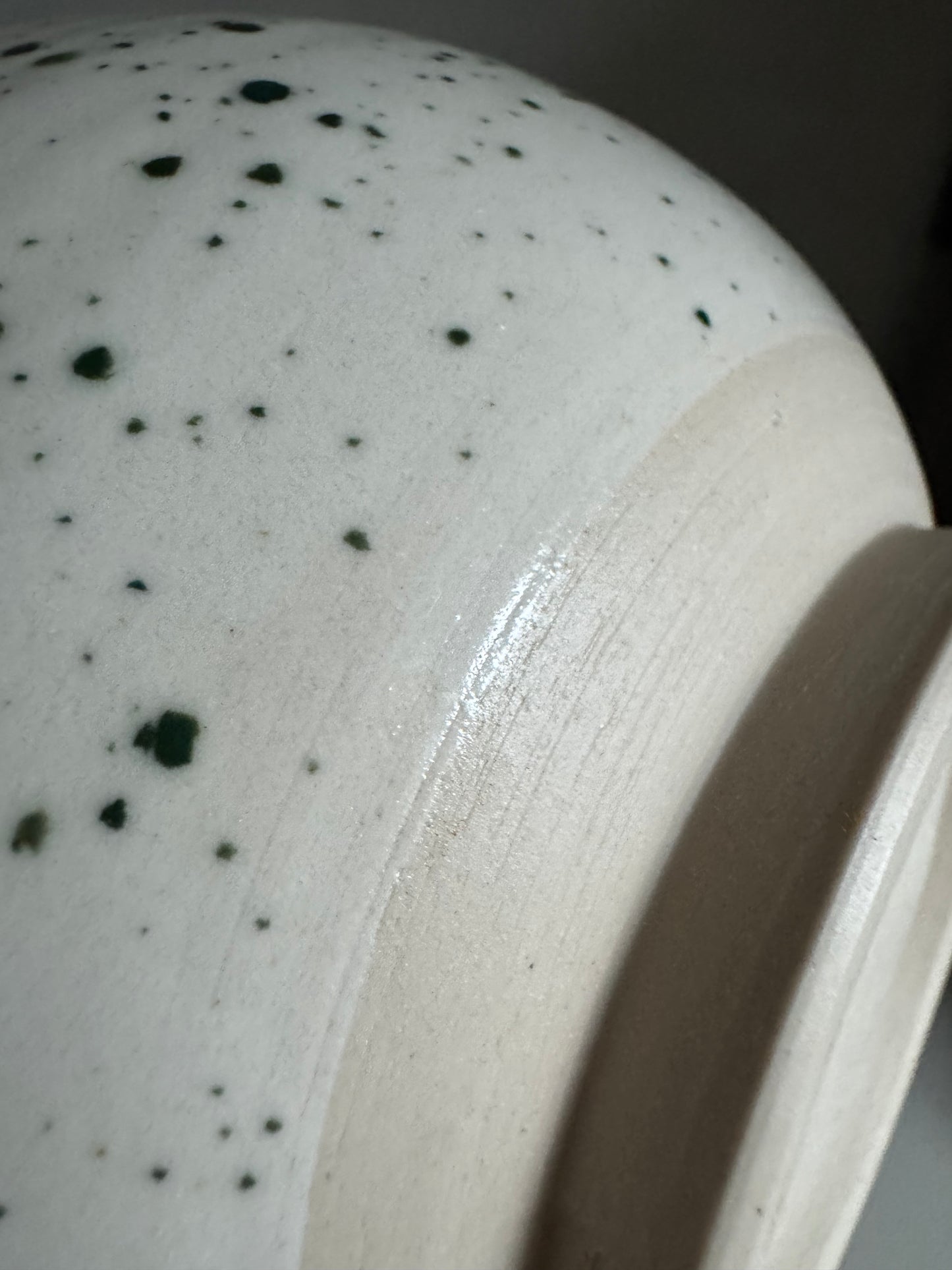 The Moss Speckle Bowl